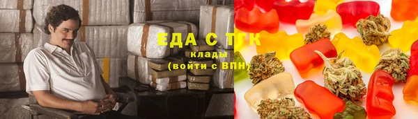 гашик Алексин