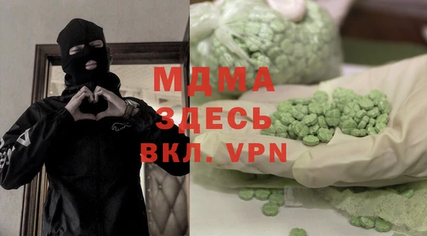 гашик Алексин