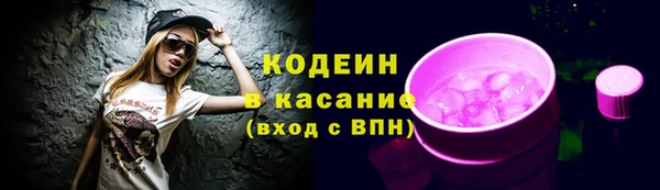 гашик Алексин