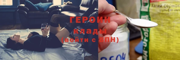 гашик Алексин
