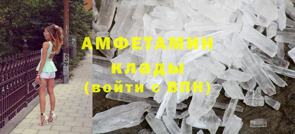 гашик Алексин