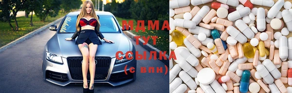 гашик Алексин