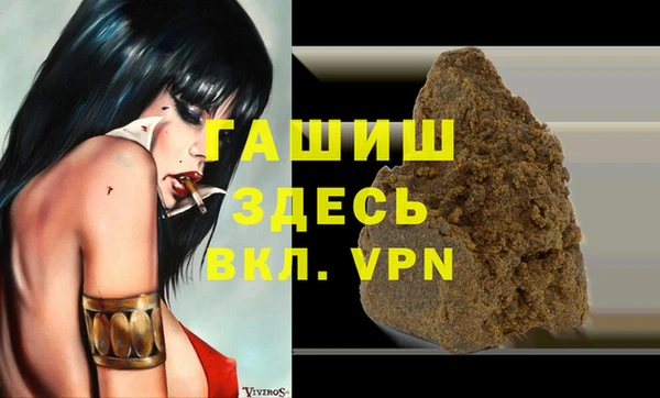 гашик Алексин