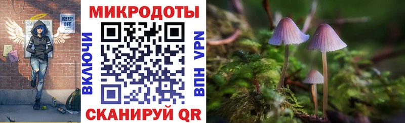 OMG ТОР  купить наркотики цена  Анадырь  Псилоцибиновые грибы GOLDEN TEACHER 